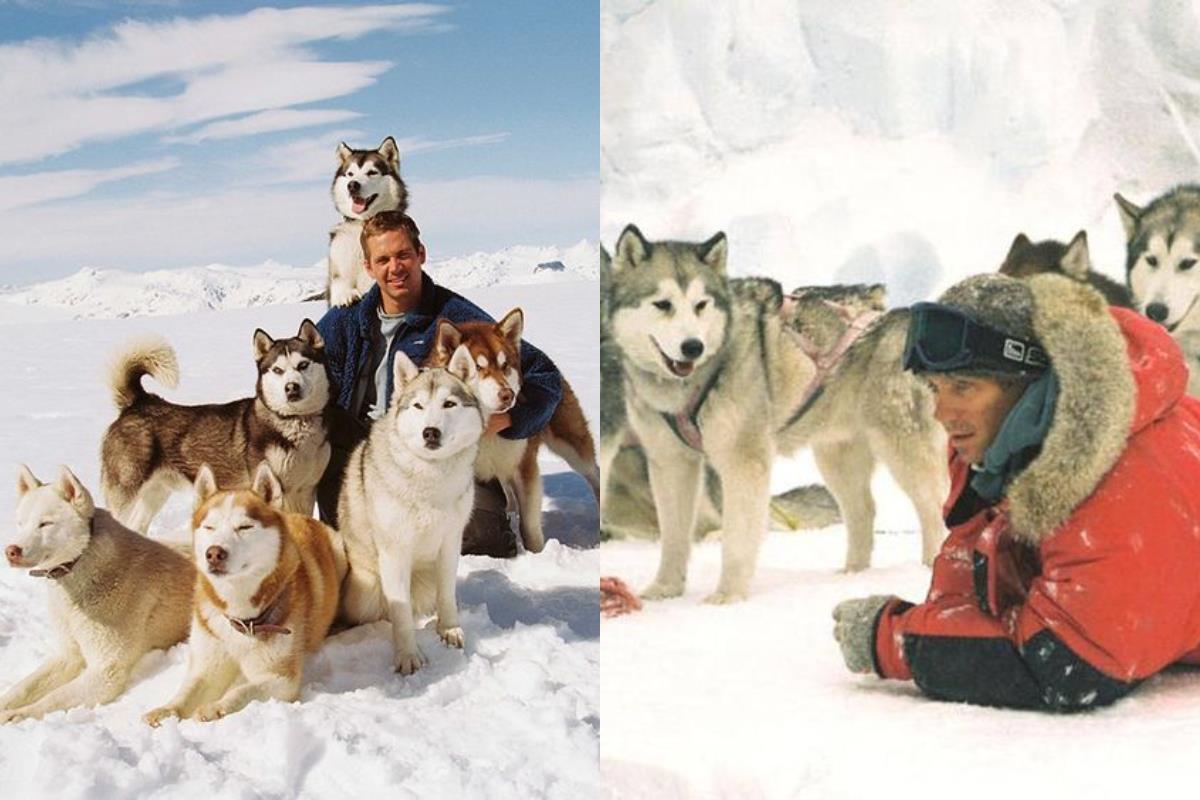 面纸先准备好!6 部描述人与宠物的故事,感动心中那份专属的爱! 内容图5 女神网-大潮社TV实时追踪属于女人新资讯的综合网站! 面纸先准备好!6 部描述人与宠物的故事,感动心中那份专属的爱! 影视娱乐 图5张