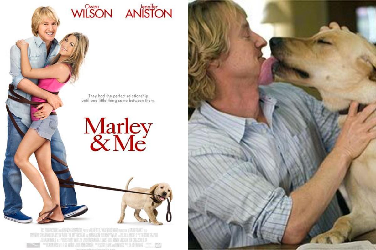 面纸先准备好!6 部描述人与宠物的故事,感动心中那份专属的爱! 内容图6 女神网-大潮社TV实时追踪属于女人新资讯的综合网站! 面纸先准备好!6 部描述人与宠物的故事,感动心中那份专属的爱! 影视娱乐 图6张