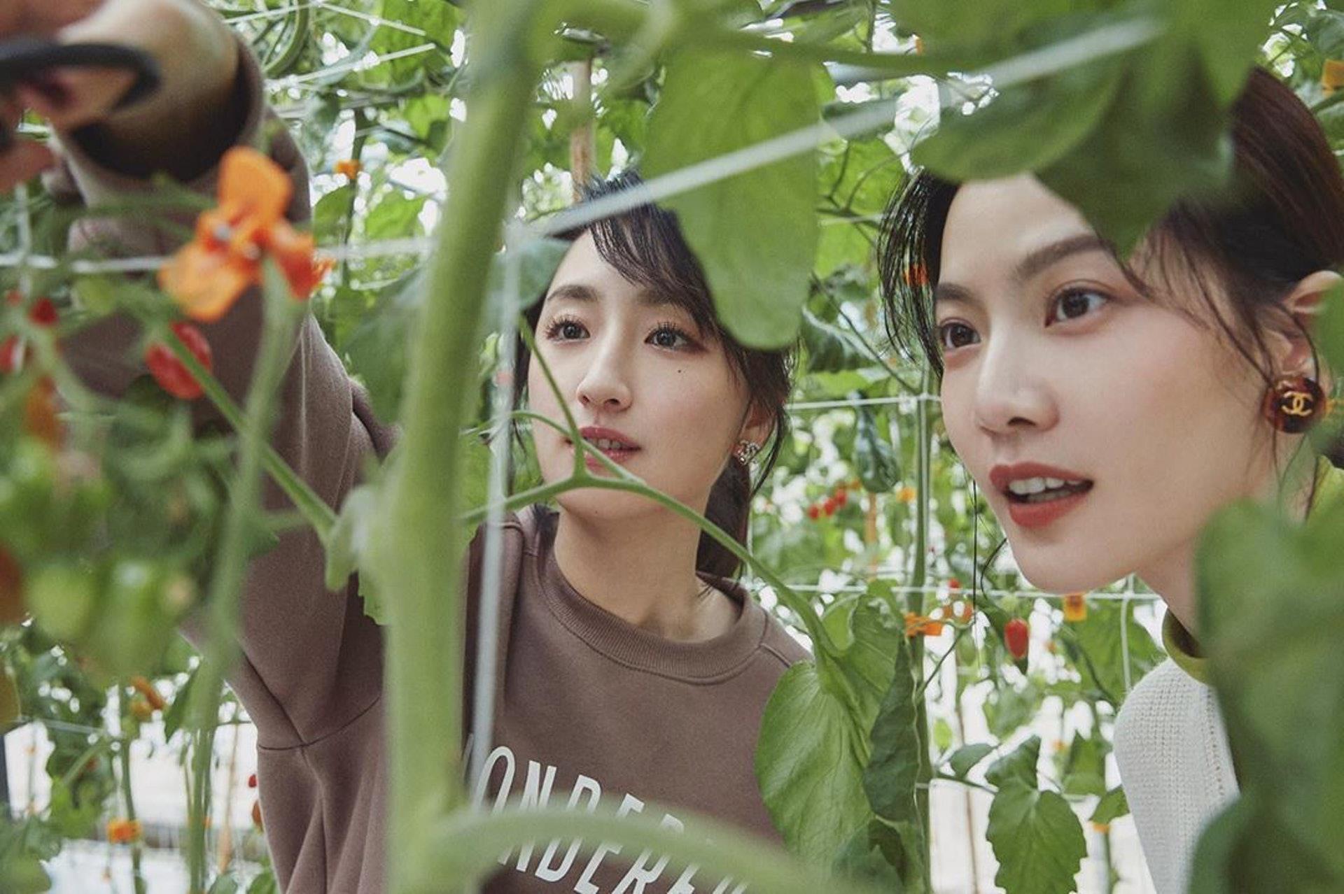 幸福人妻曾之乔演艺之路:曾因达不到世人定义的美而忧郁,终会明白“花朵盛开之时皆不同” 内容图5 女神网-大潮社TV实时追踪属于女人新资讯的综合网站! 1GY0FMne6qTKZ2XUV29qtZxmtkJWQpErZxXyF2cV8hc