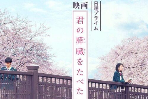 人生的相遇不是偶然。《我想吃掉你的胰脏》：日系纯情浪漫悲剧中，思索彼此活着的意义