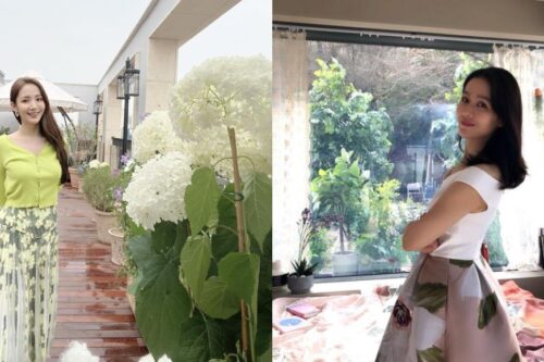 韩剧女神朴敏英、孙艺珍豪宅大公开:装潢简约奢华,还有天台花园能种绣球花!