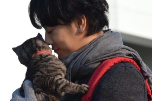 奇幻剧情中浓厚的日系催泪。《如果这世界猫消失了》：“如果有一天我死去，有谁会为我流泪？”