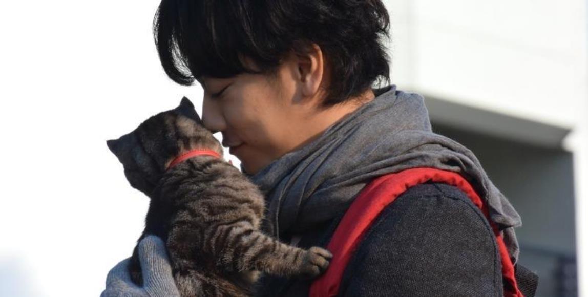 奇幻剧情中浓厚的日系催泪。《如果这世界猫消失了》:“如果有一天我死去,有谁会为我流泪?” 内容图1 女神网-大潮社TV实时追踪属于女人新资讯的综合网站! 奇幻剧情中浓厚的日系催泪。《如果这世界猫消失了》:“如果有一天我死去,有谁会为我流泪?” 影视娱乐 图1张