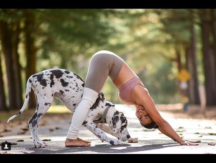 完美身材不是梦!这五位瑜伽大师也太美了! 内容图8 女神网-大潮社TV实时追踪属于女人新资讯的综合网站! 完美身材不是梦!这五位瑜伽大师也太美了! 健康养生 图8张