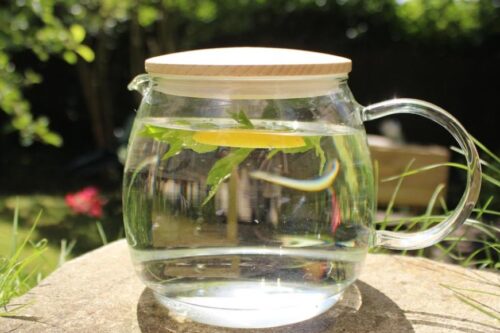 喝冰水促进新陈代谢？美国学者研究：“这跟身体的恒温机制有关！”