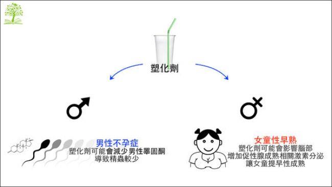 塑化剂无所不在!性早熟、不孕症都是它惹的祸? 内容图2 女神网-大潮社TV实时追踪属于女人新资讯的综合网站! 塑化剂无所不在!性早熟、不孕症都是它惹的祸? 健康养生 图2张