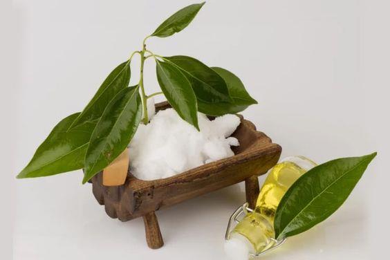 香茅、樟脑真的可以驱蚊?防蚊液又该怎么选? 内容图4 女神网-大潮社TV实时追踪属于女人新资讯的综合网站! 香茅、樟脑真的可以驱蚊?防蚊液又该怎么选? 健康养生 图4张