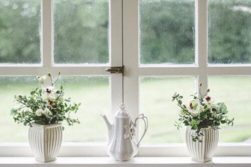 夏天病媒蚊猖狂？落实“巡倒清刷”4 步原则，一同预防登革热！