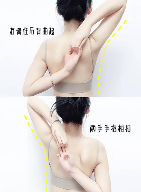 挥别副乳和掰掰肉:5 招居家懒人瘦手臂操,一周紧致侧身肌肉线条 内容图2 女神网-大潮社TV实时追踪属于女人新资讯的综合网站! 5345