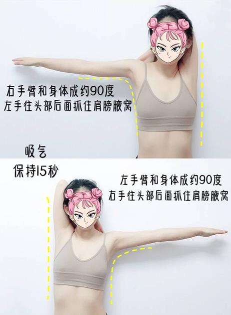 挥别副乳和掰掰肉:5 招居家懒人瘦手臂操,一周紧致侧身肌肉线条 内容图5 女神网-大潮社TV实时追踪属于女人新资讯的综合网站! 444(1)