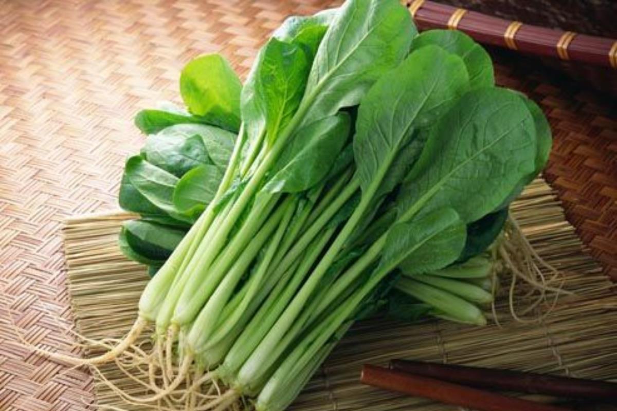 平均年龄 84.2 岁!日本蝉联全球长寿地区之冠的秘密 内容图4 女神网-大潮社TV实时追踪属于女人新资讯的综合网站! 平均年龄 84.2 岁!日本蝉联全球长寿地区之冠的秘密 健康养生 图4张