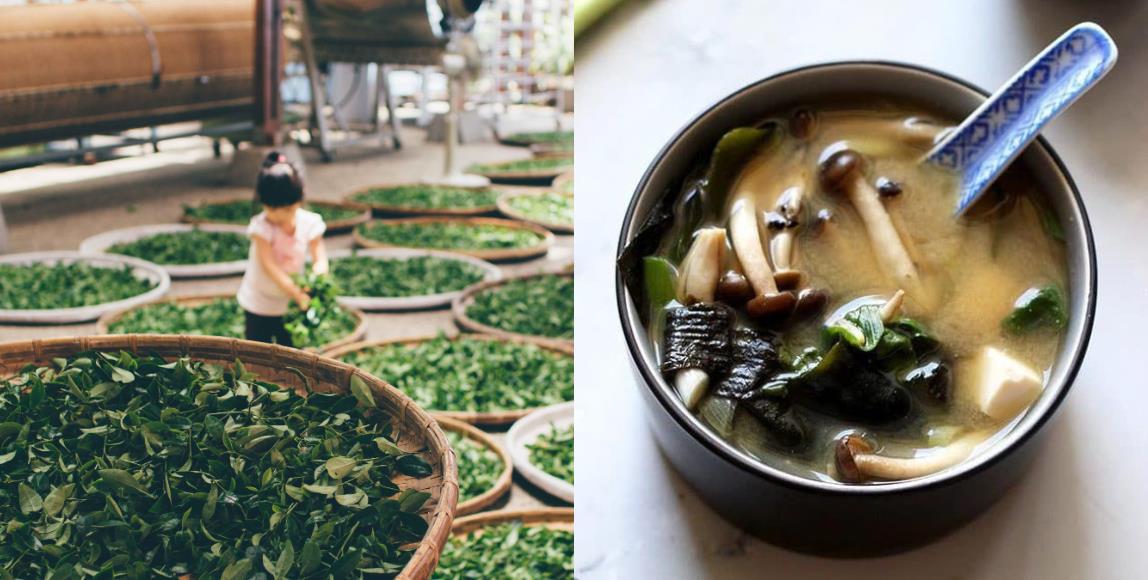 有细纹、黑斑就显老!皮肤科医师分享肌肤抗老秘诀:做好防晒保湿、吃对的食物找回红润美丽塑造肌 内容图5 女神网-大潮社TV实时追踪属于女人新资讯的综合网站! 04