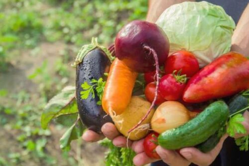 专家说的菜篮里的科学：从这一代带着下一代吃得健康安心，了解有机农业、参与绿色行动永续经营