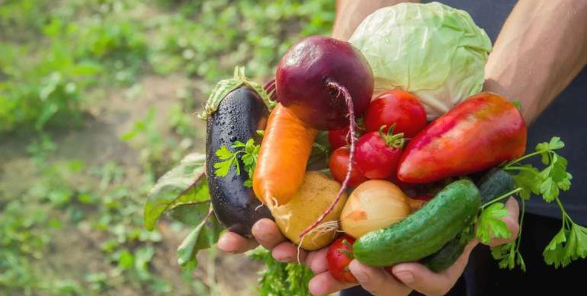 专家说的菜篮里的科学:从这一代带着下一代吃得健康安心,了解有机农业、参与绿色行动永续经营 内容图1 女神网-大潮社TV实时追踪属于女人新资讯的综合网站! 专家说的菜篮里的科学:从这一代带着下一代吃得健康安心,了解有机农业、参与绿色行动永续经营 健康养生 图1张