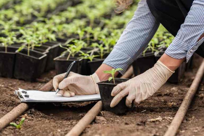 专家说的菜篮里的科学:从这一代带着下一代吃得健康安心,了解有机农业、参与绿色行动永续经营 内容图2 女神网-大潮社TV实时追踪属于女人新资讯的综合网站! 专家说的菜篮里的科学:从这一代带着下一代吃得健康安心,了解有机农业、参与绿色行动永续经营 健康养生 图2张