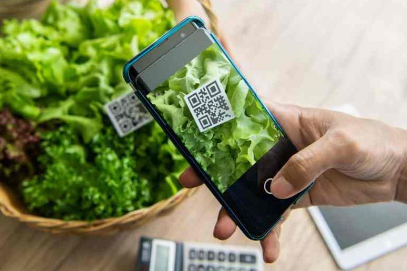 专家说的菜篮里的科学:从这一代带着下一代吃得健康安心,了解有机农业、参与绿色行动永续经营 内容图3 女神网-大潮社TV实时追踪属于女人新资讯的综合网站! 专家说的菜篮里的科学:从这一代带着下一代吃得健康安心,了解有机农业、参与绿色行动永续经营 健康养生 图3张