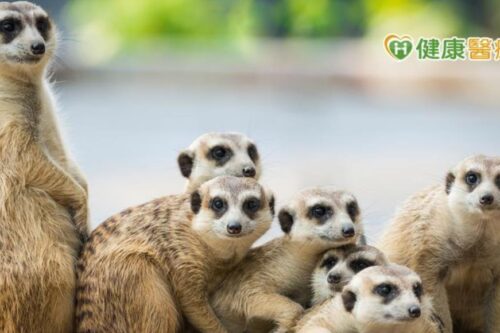 冬日暖气除湿机双开，眼睛却因此张不开？ 糊朦族问题不在缺水，锁水比补水更重要