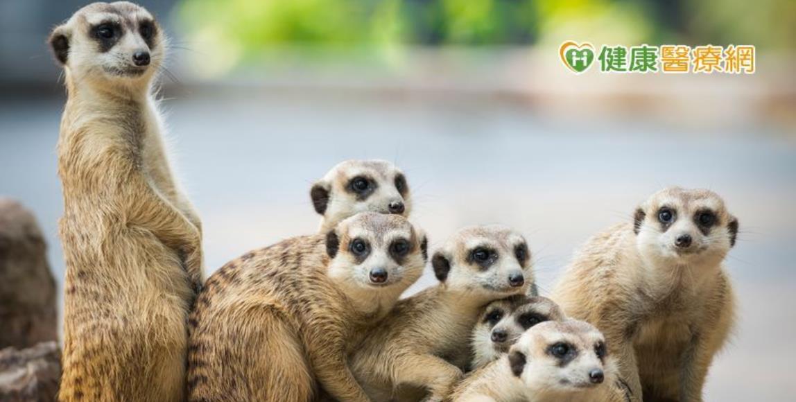 冬日暖气除湿机双开,眼睛却因此张不开? 糊朦族问题不在缺水,锁水比补水更重要 内容图1 女神网-大潮社TV实时追踪属于女人新资讯的综合网站! 冬日暖气除湿机双开,眼睛却因此张不开? 糊朦族问题不在缺水,锁水比补水更重要 健康养生 图1张