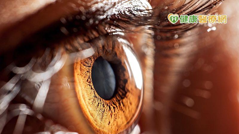 冬日暖气除湿机双开,眼睛却因此张不开? 糊朦族问题不在缺水,锁水比补水更重要 内容图3 女神网-大潮社TV实时追踪属于女人新资讯的综合网站! 冬日暖气除湿机双开,眼睛却因此张不开? 糊朦族问题不在缺水,锁水比补水更重要 健康养生 图3张