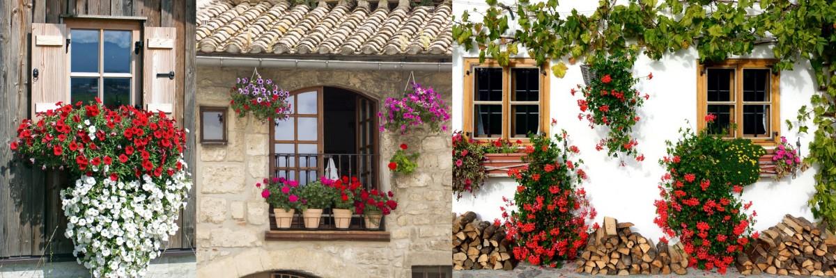 手感花草阳台提案!在家就能轻松打造南法乡村风花园 内容图2 女神网-大潮社TV实时追踪属于女人新资讯的综合网站! 手感花草阳台提案!在家就能轻松打造南法乡村风花园 家庭学堂 图2张