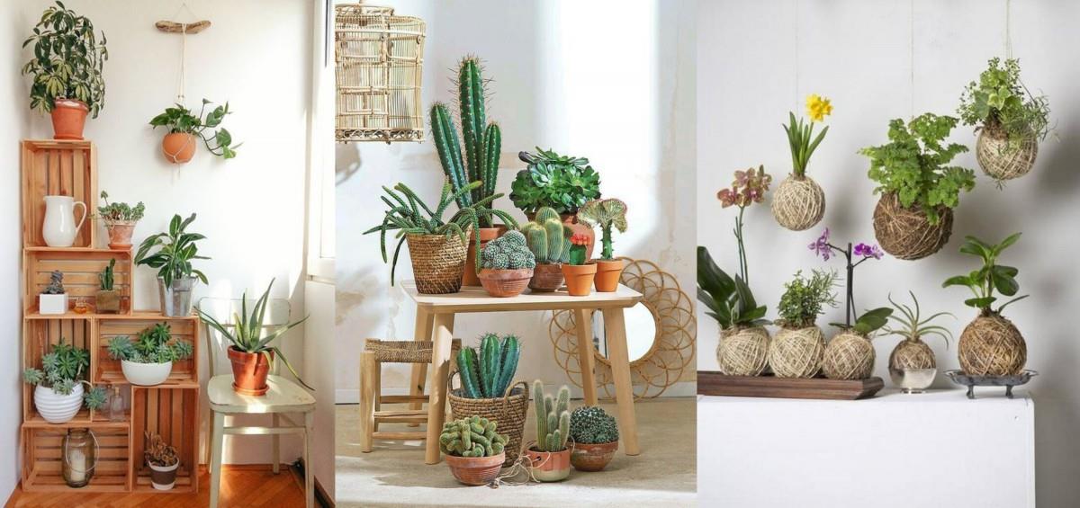 手感花草阳台提案!在家就能轻松打造南法乡村风花园 内容图6 女神网-大潮社TV实时追踪属于女人新资讯的综合网站! 手感花草阳台提案!在家就能轻松打造南法乡村风花园 家庭学堂 图6张