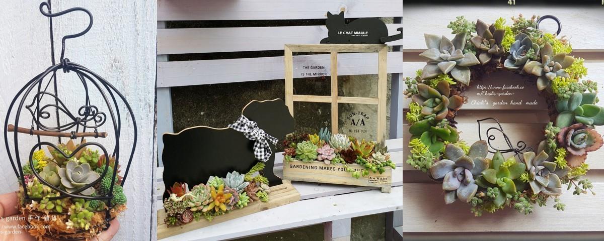 偶尔也想“拈花惹草”?先从“懒人系园艺”多肉植物开始下手吧! 内容图2 女神网-大潮社TV实时追踪属于女人新资讯的综合网站! 偶尔也想“拈花惹草”?先从“懒人系园艺”多肉植物开始下手吧! 家庭学堂 图2张