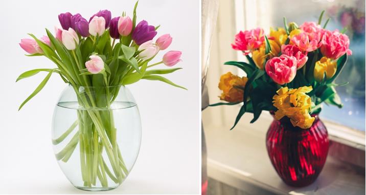 春节造景盆栽不求人! 4 招初学者也学得会的插花技巧 内容图3 女神网-大潮社TV实时追踪属于女人新资讯的综合网站! 春节造景盆栽不求人! 4 招初学者也学得会的插花技巧 家庭学堂 图3张