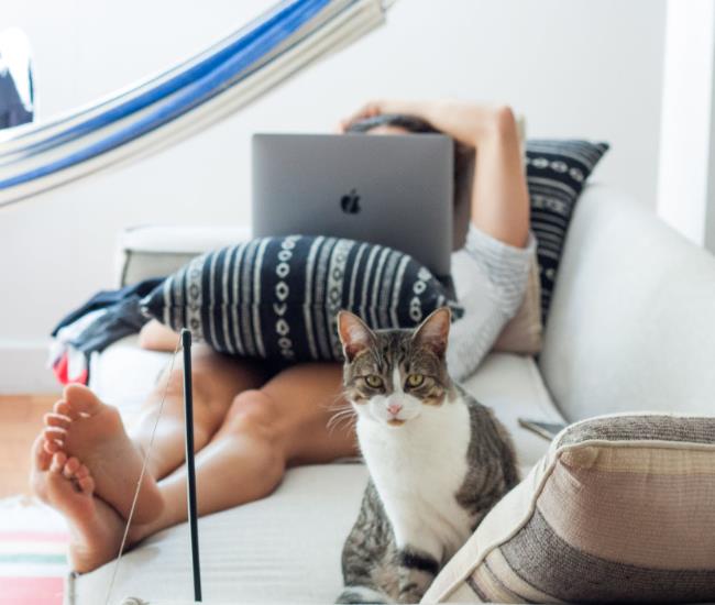 跟猫咪相处得先欲擒故纵?谨记 5 个与猫皇的相处守则,让猫咪们主动亲近你! 内容图5 女神网-大潮社TV实时追踪属于女人新资讯的综合网站! FotoJet - 2019-11-11T142407.632