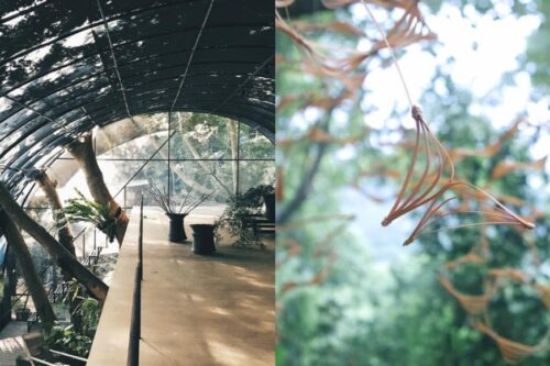 跟着山岛之灵的纯洁眼光，走进台北近郊，探险都市与森林边界的《岛屿秘境》艺术季