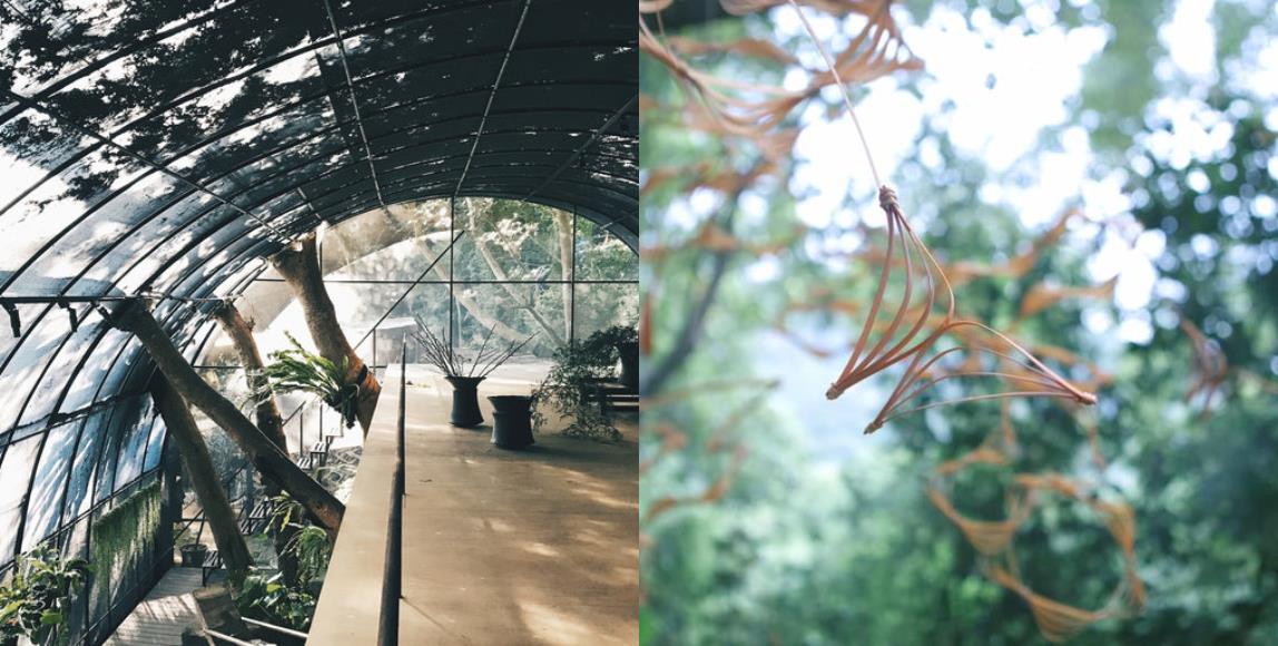 跟着山岛之灵的纯洁眼光,走进台北近郊,探险都市与森林边界的《岛屿秘境》艺术季 内容图1 女神网-大潮社TV实时追踪属于女人新资讯的综合网站! 跟着山岛之灵的纯洁眼光,走进台北近郊,探险都市与森林边界的《岛屿秘境》艺术季 家庭学堂 图1张