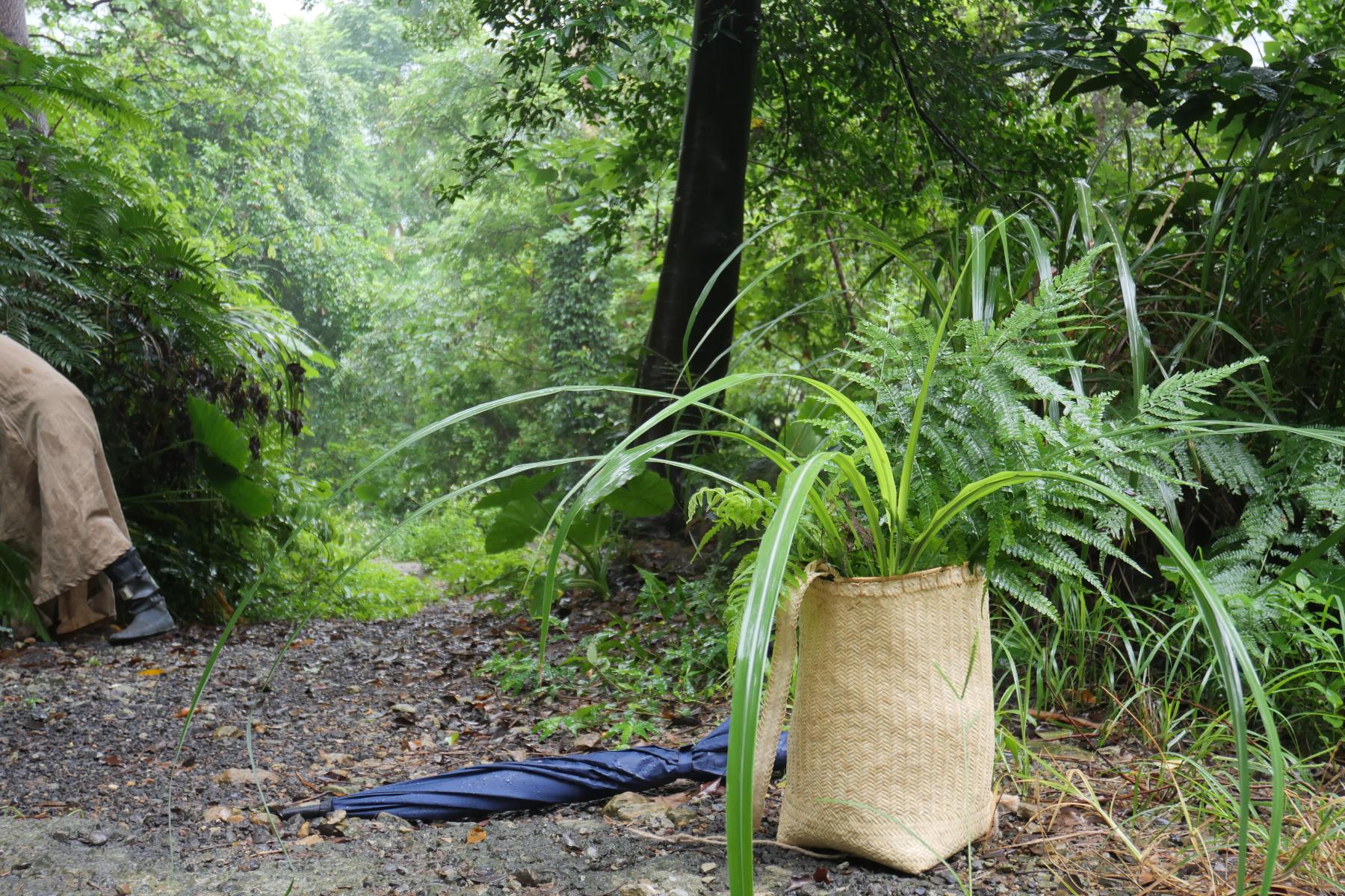 跟着山岛之灵的纯洁眼光,走进台北近郊,探险都市与森林边界的《岛屿秘境》艺术季 内容图5 女神网-大潮社TV实时追踪属于女人新资讯的综合网站! FotoJet (52).jpg