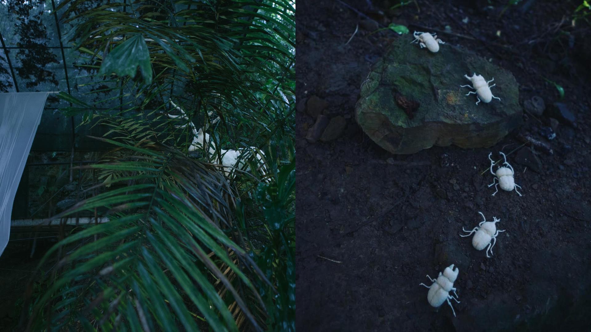 跟着山岛之灵的纯洁眼光,走进台北近郊,探险都市与森林边界的《岛屿秘境》艺术季 内容图8 女神网-大潮社TV实时追踪属于女人新资讯的综合网站! FotoJet (57).jpg