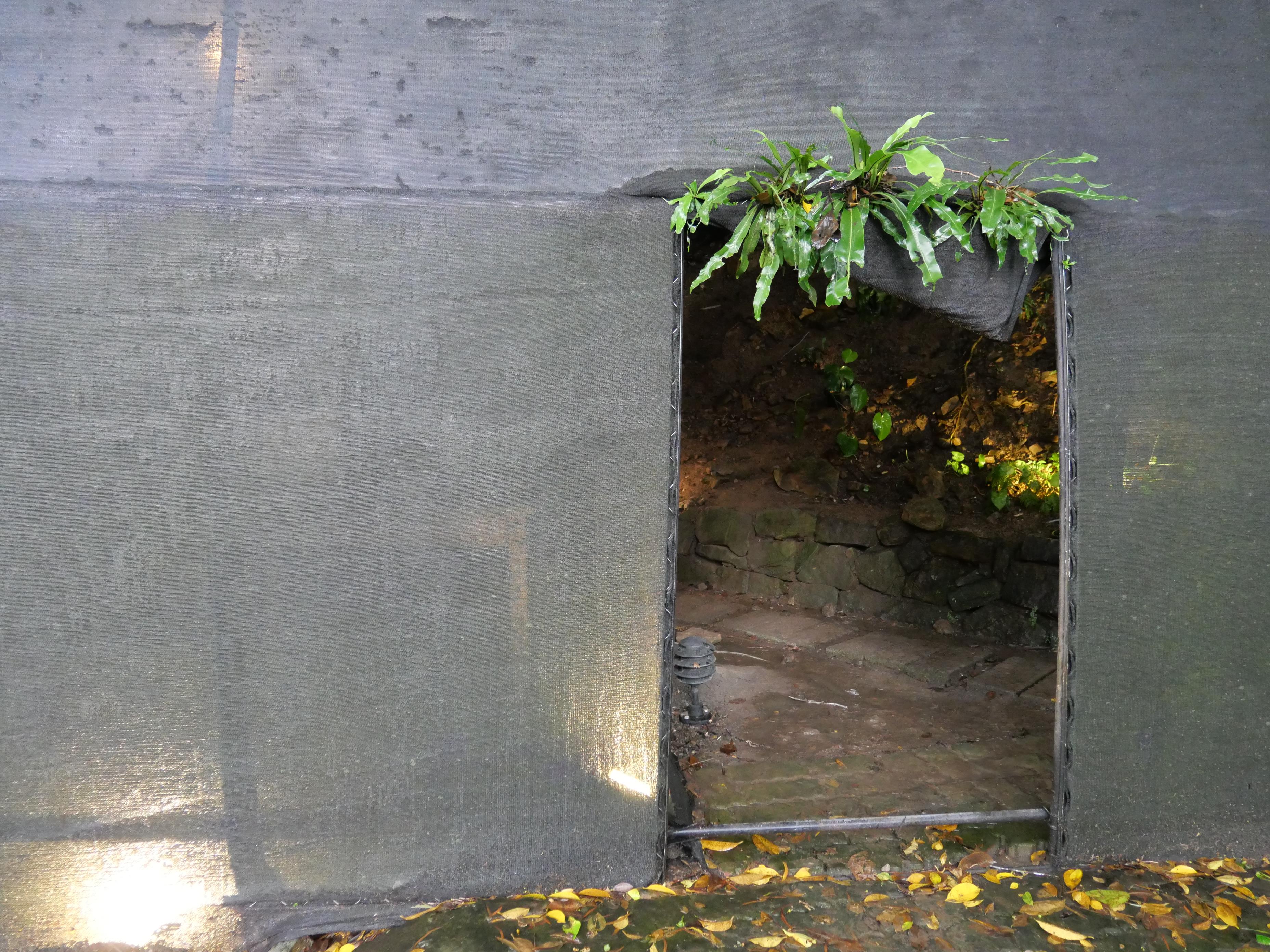 跟着山岛之灵的纯洁眼光,走进台北近郊,探险都市与森林边界的《岛屿秘境》艺术季 内容图9 女神网-大潮社TV实时追踪属于女人新资讯的综合网站! P1065134.JPG