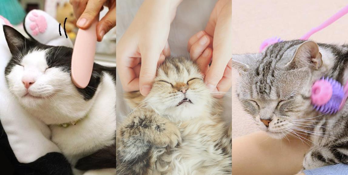 猫奴语录:“哄主子开心是奴才应该的!”6 个按摩小器具,把爱猫服侍得服服贴贴 内容图1 女神网-大潮社TV实时追踪属于女人新资讯的综合网站! 猫奴语录:“哄主子开心是奴才应该的!”6 个按摩小器具,把爱猫服侍得服服贴贴 家庭学堂 图1张