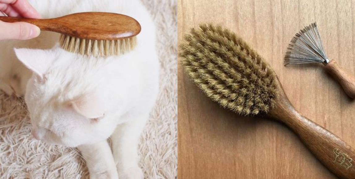 猫奴语录:“哄主子开心是奴才应该的!”6 个按摩小器具,把爱猫服侍得服服贴贴 内容图4 女神网-大潮社TV实时追踪属于女人新资讯的综合网站! 猫奴语录:“哄主子开心是奴才应该的!”6 个按摩小器具,把爱猫服侍得服服贴贴 家庭学堂 图4张