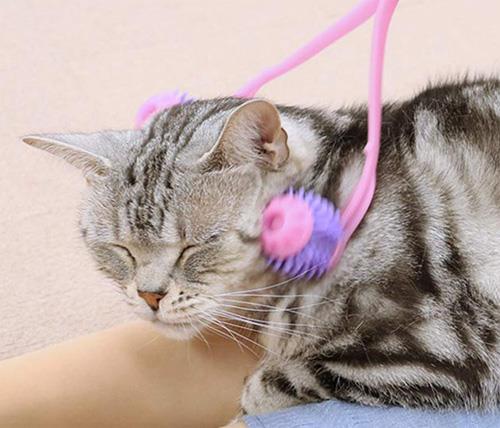 猫奴语录:“哄主子开心是奴才应该的!”6 个按摩小器具,把爱猫服侍得服服贴贴 内容图6 女神网-大潮社TV实时追踪属于女人新资讯的综合网站! 猫奴语录:“哄主子开心是奴才应该的!”6 个按摩小器具,把爱猫服侍得服服贴贴 家庭学堂 图6张