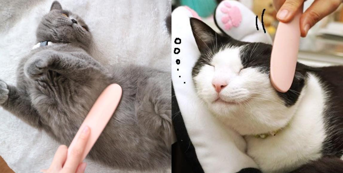 猫奴语录:“哄主子开心是奴才应该的!”6 个按摩小器具,把爱猫服侍得服服贴贴 内容图8 女神网-大潮社TV实时追踪属于女人新资讯的综合网站! 猫奴语录:“哄主子开心是奴才应该的!”6 个按摩小器具,把爱猫服侍得服服贴贴 家庭学堂 图8张