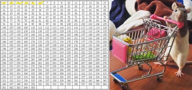 30 岁后该为自己打算!6 招“无痛渐进存钱法”,让你存到“第一桶金”有备无患 内容图3 女神网-大潮社TV实时追踪属于女人新资讯的综合网站! 444444445445454