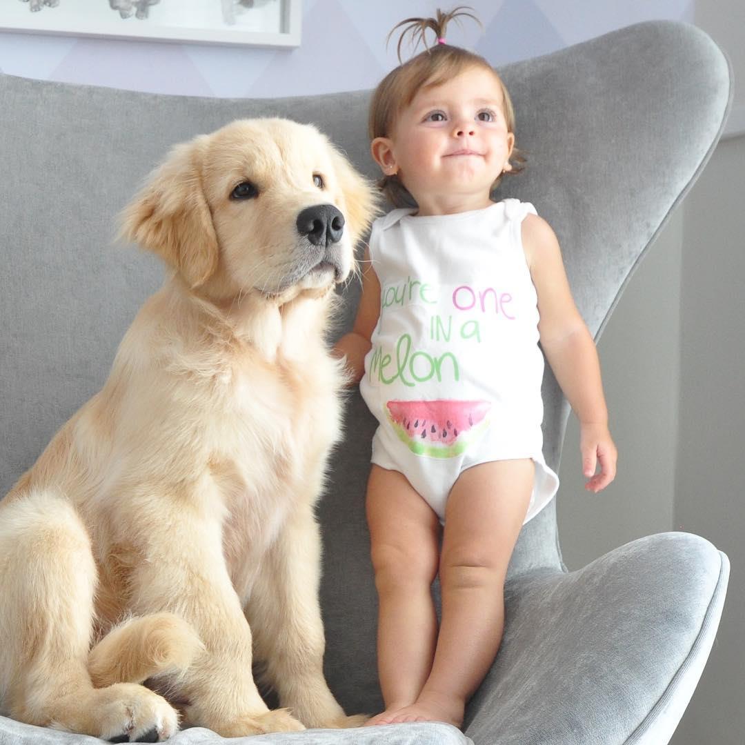 别让狗狗担心你!研究指出:“饲主的压力可能传给狗狗” 内容图5 女神网-大潮社TV实时追踪属于女人新资讯的综合网站! 28435200_2056091878007668_3543412993465253888_n.jpg