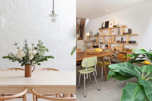 居家布置第 2 步：与典雅的花草为伍，用绿色植栽为房子的清爽度加分