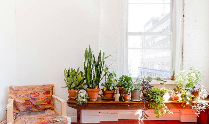 居家布置第 2 步:与典雅的花草为伍,用绿色植栽为房子的清爽度加分 内容图2 女神网-大潮社TV实时追踪属于女人新资讯的综合网站! carousel_img05.jpg