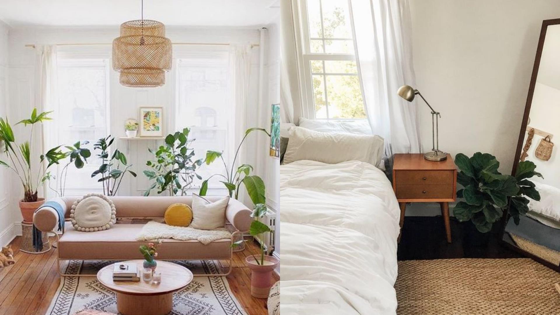 摆脱恼人梅雨季!用清爽的竹编搭配居家布置,将家里打造成清爽的盛夏度假小窝 内容图4 女神网-大潮社TV实时追踪属于女人新资讯的综合网站! FotoJet (41)