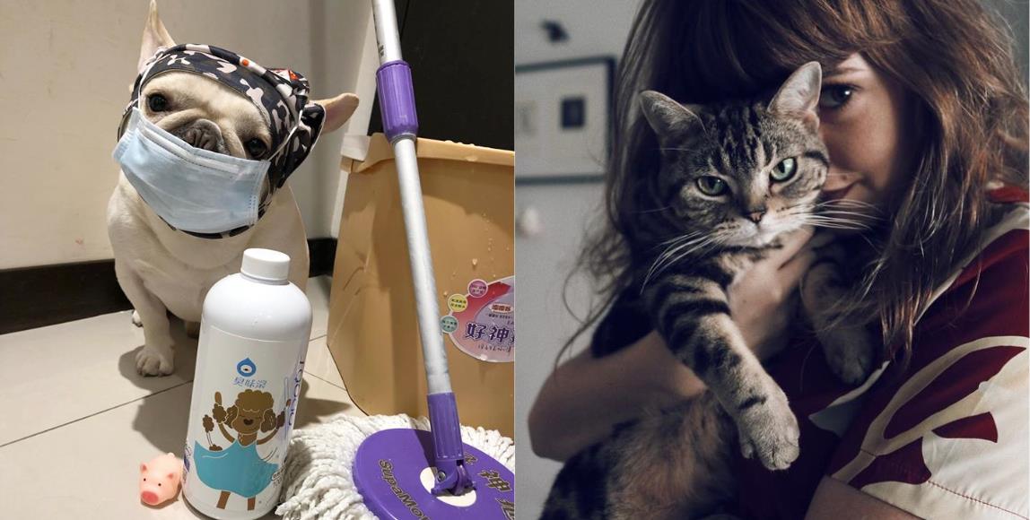 想养宠物却怕过敏?着手家中环境整洁、注意个人习惯,即可与毛孩和乐融融地共处 内容图1 女神网-大潮社TV实时追踪属于女人新资讯的综合网站! 想养宠物却怕过敏?着手家中环境整洁、注意个人习惯,即可与毛孩和乐融融地共处 家庭学堂 图1张