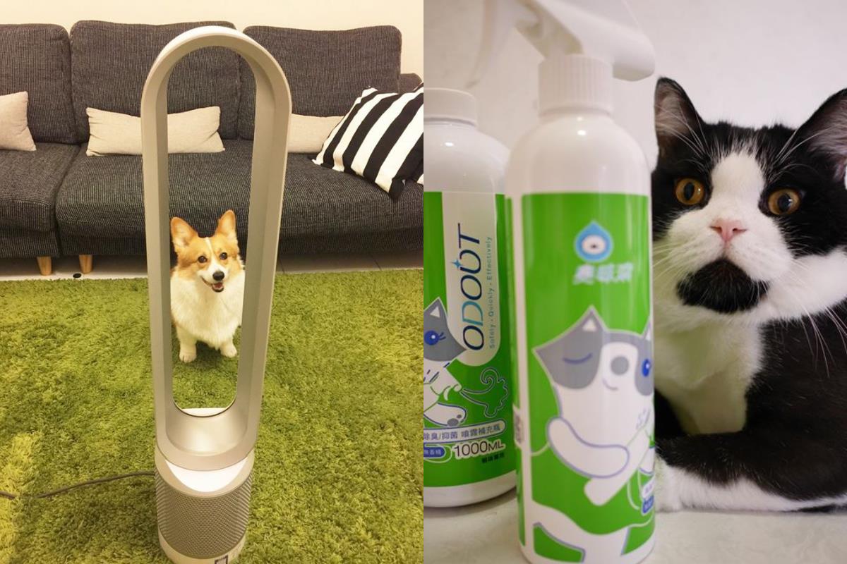 想养宠物却怕过敏?着手家中环境整洁、注意个人习惯,即可与毛孩和乐融融地共处 内容图2 女神网-大潮社TV实时追踪属于女人新资讯的综合网站! 01