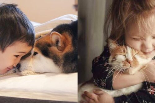 谁说宝宝与宠物只能二择一？做好事前准备，让家中毛小孩安心陪伴宝贝成长！