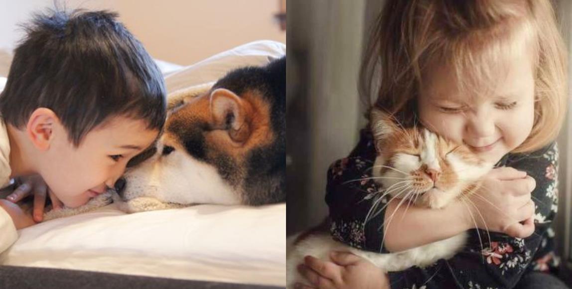 谁说宝宝与宠物只能二择一?做好事前准备,让家中毛小孩安心陪伴宝贝成长! 内容图1 女神网-大潮社TV实时追踪属于女人新资讯的综合网站! 谁说宝宝与宠物只能二择一?做好事前准备,让家中毛小孩安心陪伴宝贝成长! 家庭学堂 图1张