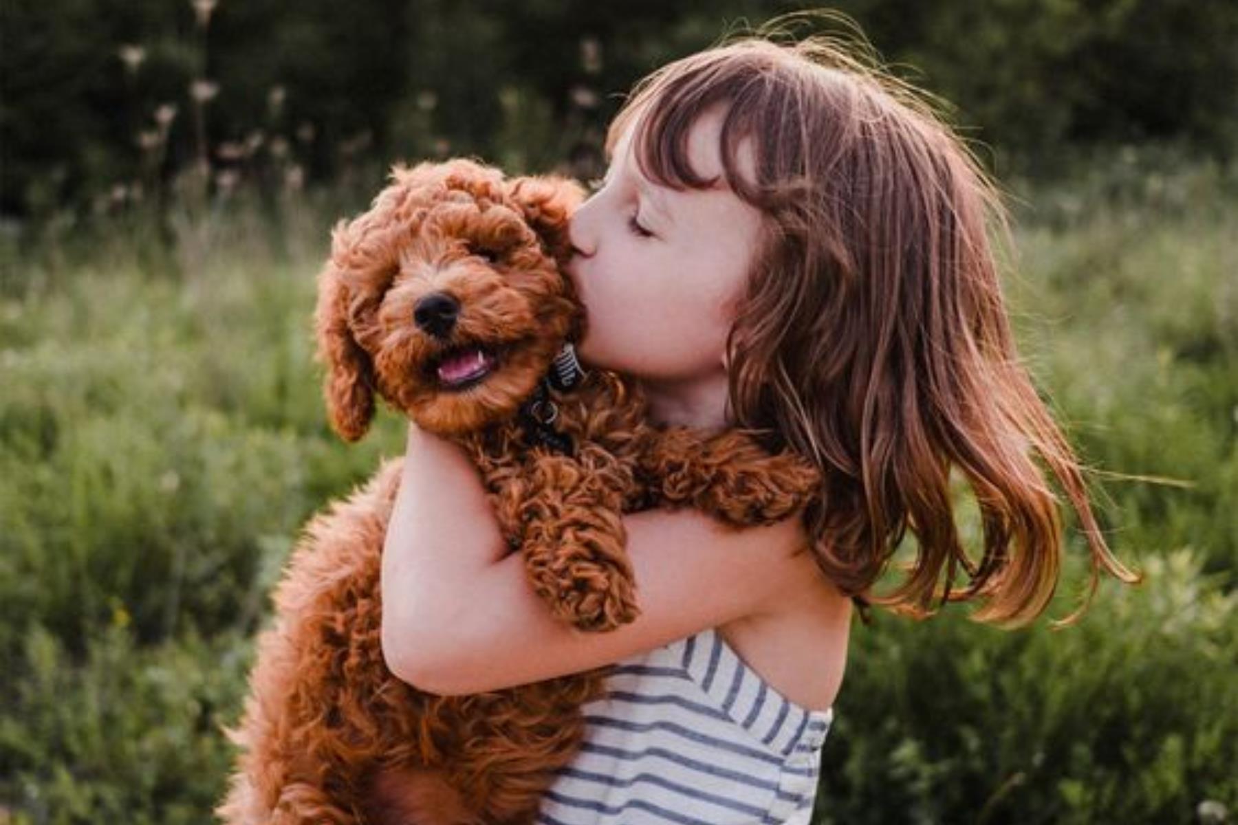 谁说宝宝与宠物只能二择一?做好事前准备,让家中毛小孩安心陪伴宝贝成长! 内容图3 女神网-大潮社TV实时追踪属于女人新资讯的综合网站! image4