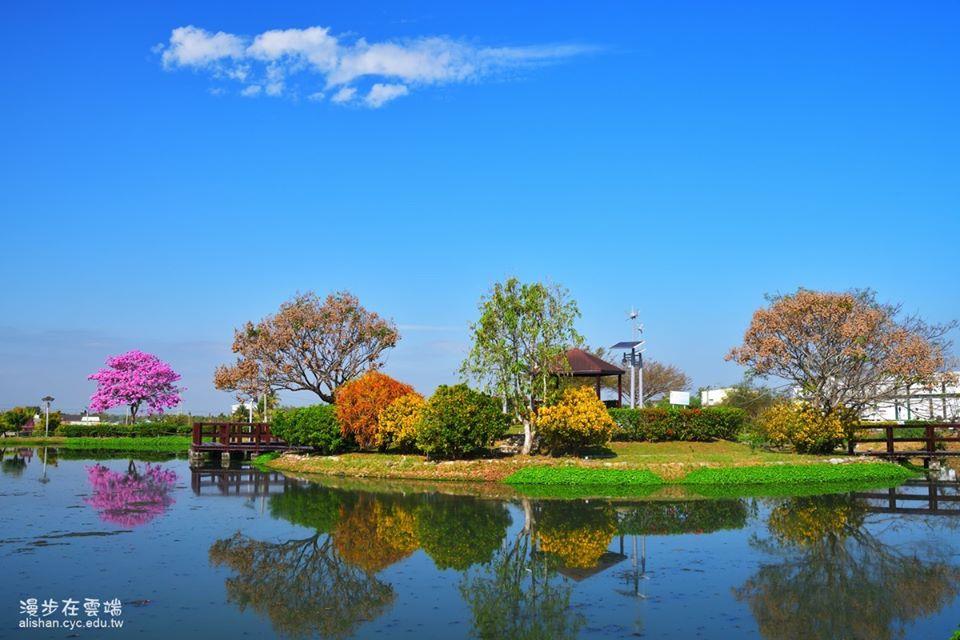 38 女人节集宠爱于一身的 4 种享受:唯有先对自己好、保持良好状态,才能在每个面向大放异彩 内容图5 女神网-大潮社TV实时追踪属于女人新资讯的综合网站! 86936785_3341359239227045_6687014701185892352_o