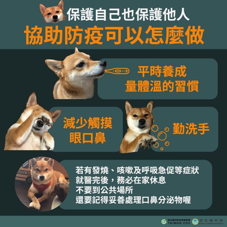 【新冠肺炎】宠物防疫重点:不给毛小孩吃生食、避免到人潮拥挤的地方 内容图3 女神网-大潮社TV实时追踪属于女人新资讯的综合网站! 6844b287-1581062101-2e400f4d0aa93f03893e1a79af847218-768x768