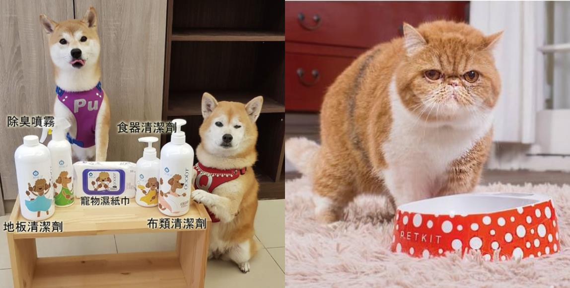 新冠肺炎掀起“宅家风”,宠物异味难去除!5 款除臭商品帮你维护居家环境,同时照顾毛孩们的健康 内容图1 女神网-大潮社TV实时追踪属于女人新资讯的综合网站! 新冠肺炎掀起“宅家风”,宠物异味难去除!5 款除臭商品帮你维护居家环境,同时照顾毛孩们的健康 家庭学堂 图1张